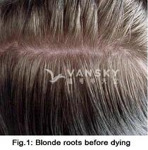 231117142323_Hair-Before Dying-s.jpg